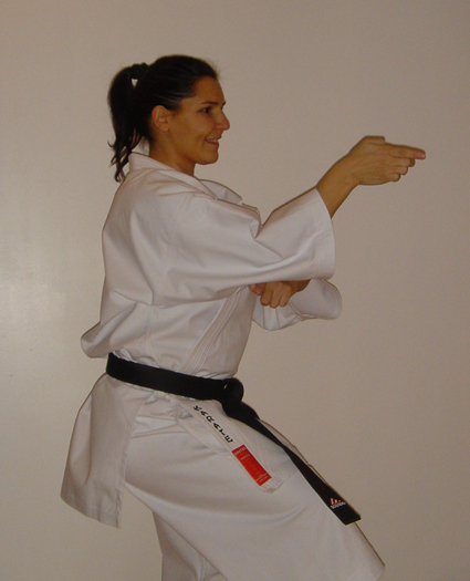Anne goudenove karategi